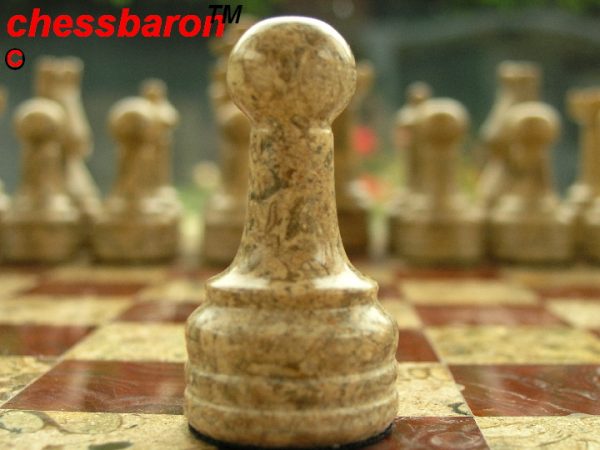 Fossil and Coral Chess Set with Solid Round Marble Board - Image 8