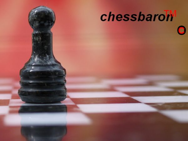 Zebra Marble Chess Set - Round Solid Marble Board and Case Included - Very Heavy - Image 9