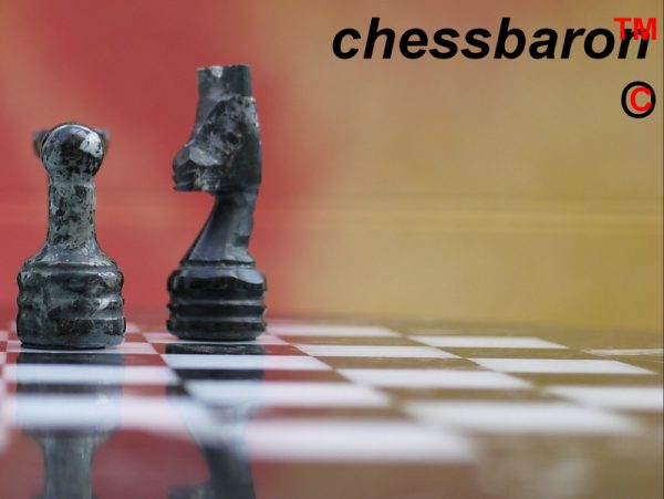 Zebra Marble Chess Set - Round Solid Marble Board and Case Included - Very Heavy - Image 11