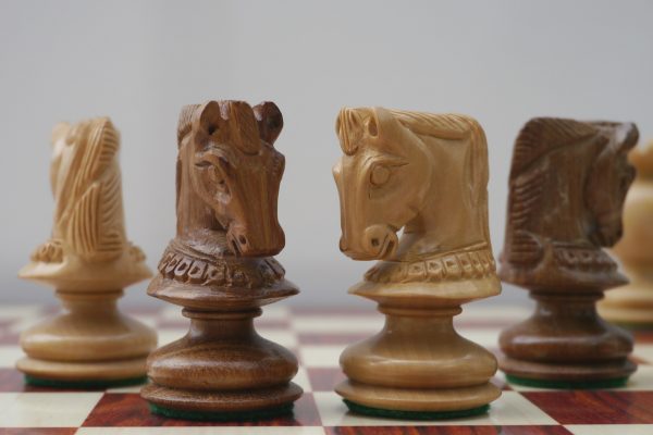 The Globe Chess Pieces - Image 9
