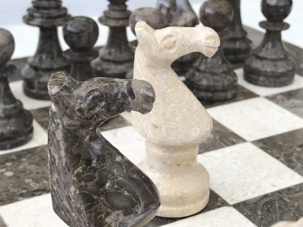 Oceanic Fossil and Marble Chess Set with Marble Board - Image 8
