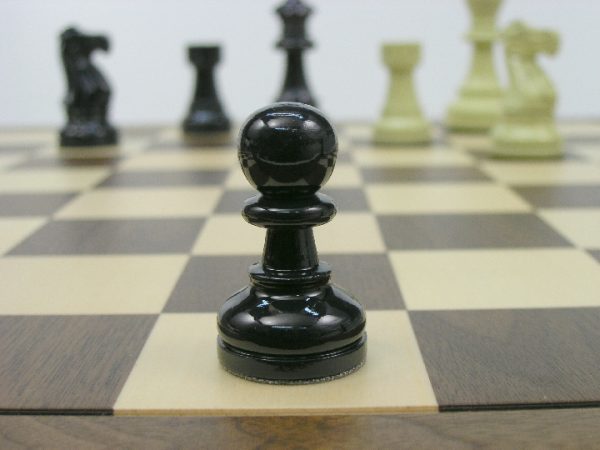 American Staunton in Deep Blue and Ivory Chess Pieces - Image 5