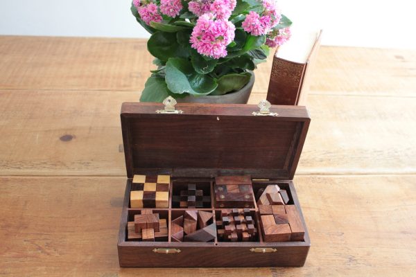 Wooden Puzzle 8 in 1 in Solid Sheesham - Image 7