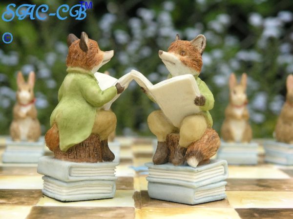 Peter Rabbit Hand Painted Chess Set With Board and Case - Image 6