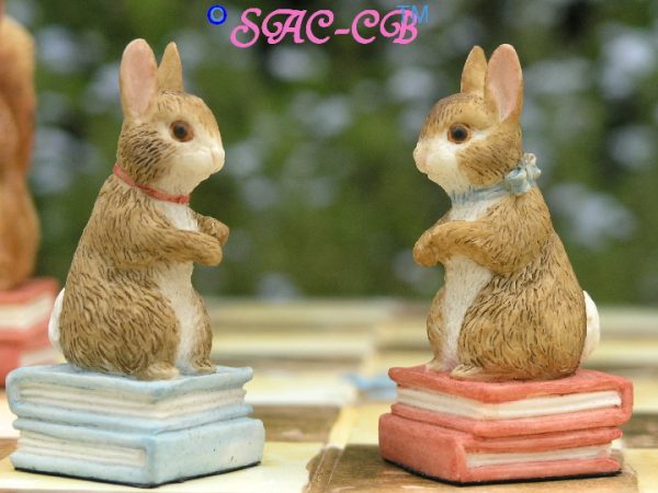 Peter Rabbit Hand Painted Chess Set With Board and Case - Image 8