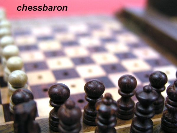 Detailed Pegged 7 x 5 inch Chess Set - Image 6