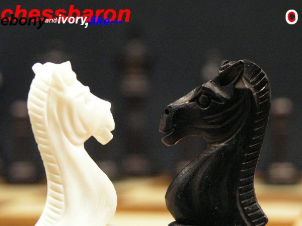 Traditional Camel Bone Staunton Chess Set - Image 5