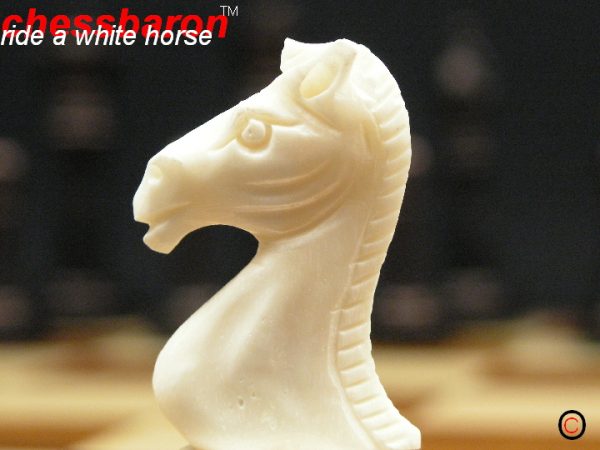Traditional Camel Bone Staunton Chess Set - Image 8