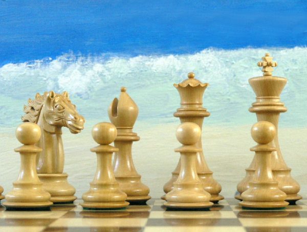 Baggio Staunton in Bud Rosewood Chess Pieces - Image 16