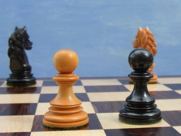 The Aristotle Antiqued Chess Pieces in Ebony - Limited Edition - Image 8