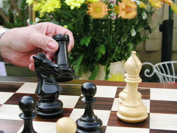 Top 10 Sets Of Best Triple Weighted Chess Pieces The Players Really Like 43 X3004 1 lg lg