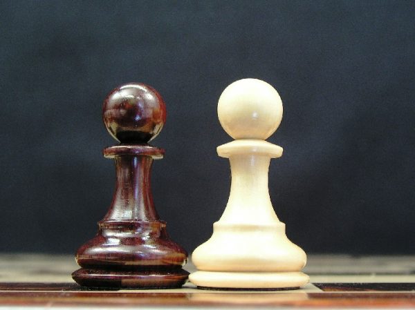 Royal Knight Bud Rosewood Staunton Chess Pieces - Image 9