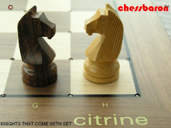 Enhanced NOVAG CITRINE Chess Pieces - Image 11