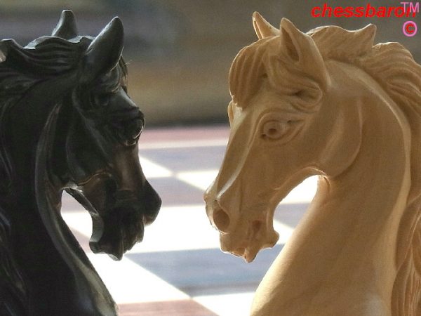 Limited Edition Sea Horse in Ebony Chess Pieces