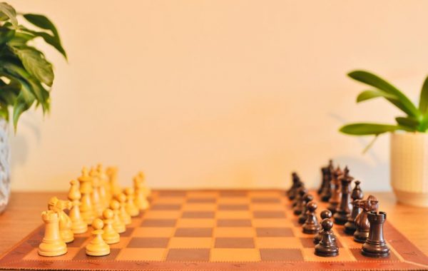 The Kingfisher - Rosewood Double Weighted Staunton Chess Set - Image 12
