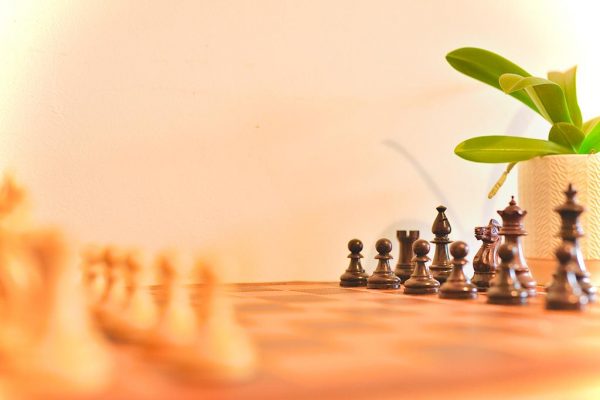 The Kingfisher - Rosewood Double Weighted Staunton Chess Set - Image 15