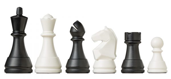 DGT Pegasus Chess Computer - Image 3