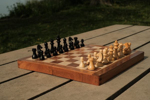 World Chess Ltd - 12" Travel Chess Set - Image 20