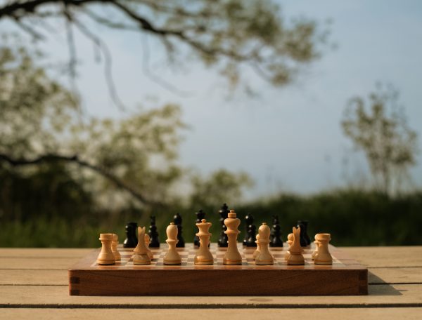 World Chess Ltd - 12" Travel Chess Set - Image 21