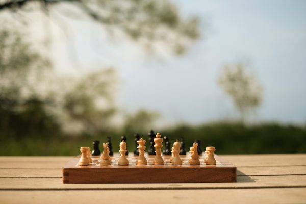 World Chess Ltd - 12" Travel Chess Set - Image 22
