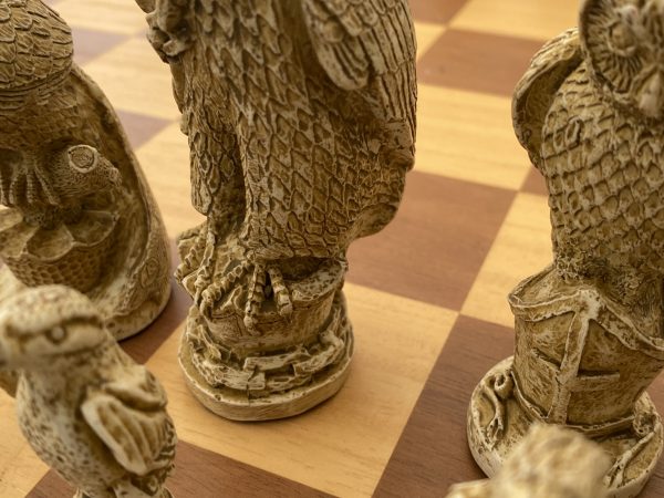 Large British and American Birds Chess Set - Image 8